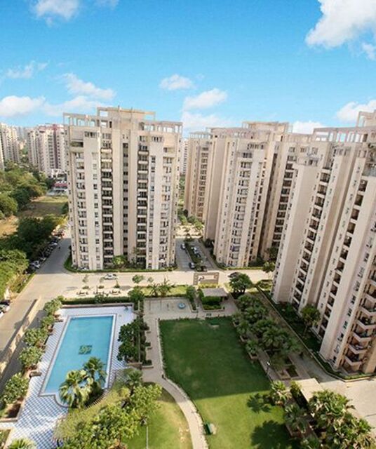 avatar Prestige Evergreen