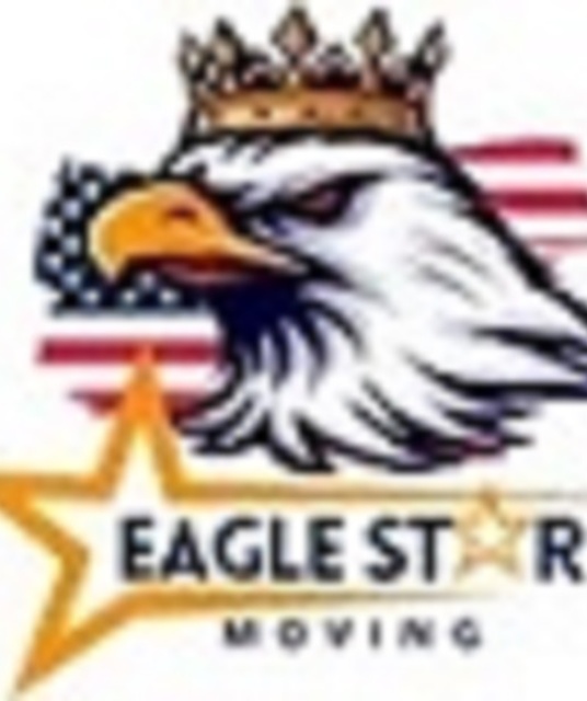 avatar Eagle Star Moving